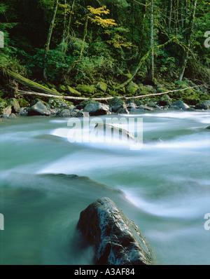 Nooksack Fluss Mt Baker Wildnis Bereich Mt Baker National Forest Nooksack Fluss Washington State USA Nordwesten Stockfoto