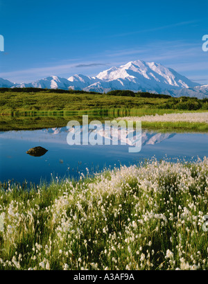 Denali, Denali National Park, Alaska, USA, Mt McKinley und die Alaska Range, Reflexion, Wollgras, Teich, Sunrise Stockfoto