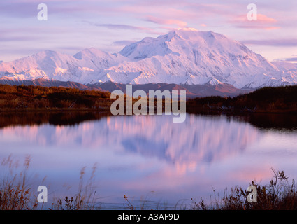 Denali, Denali National Park, Alaska, USA, Mt McKinley und die Alaska Range, weiche Pastellfarben, Reflexion Stockfoto