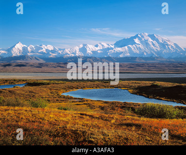 Denali National Park Alaska USA Mt McKinley und die Alaska Range, Herbst, Tundra, Farbe, McKinley River Bar, Wasserkocher Teich Stockfoto