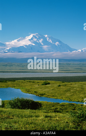 Denali National Park Alaska USA Mt McKinley und die Alaska Range, McKinley River Bar, Sommer, Wasserkocher Teich Stockfoto