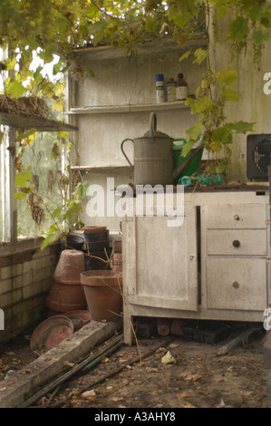 Alte verlassene Schuppen Gewächshaus mit Weinanbau in es mit freistehenden Schrank und Gießkanne an der Spitze mit alten Blumentöpfe Stockfoto