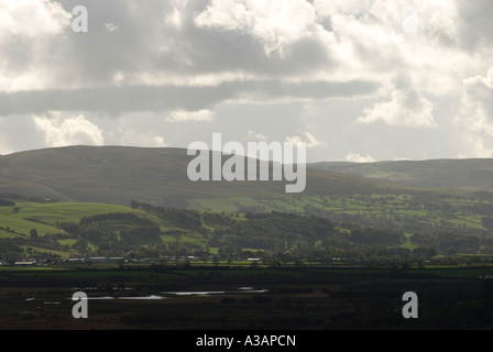 Blick über Cors Caron in den Cambrian mountains Stockfoto