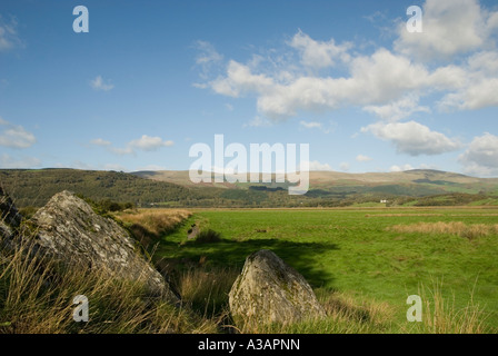 Saltmarsh im Dyfi Tal auf Ynys hir RSPB Reservat, Wales, UK. Stockfoto
