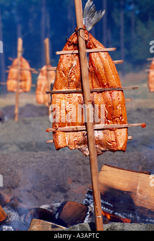 Wildlachs Backen / Grillen - Native Indian traditionelles Kochen über Erlenholz im offenen Feuer Grube, British Columbia, Kanada Stockfoto