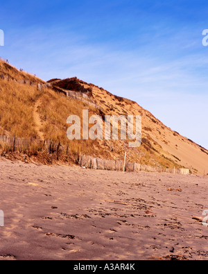 Sand Dunes At Ballston Beach Cape Cod National Seashore, Truro, USA Stockfoto