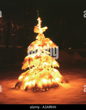 Eingerichtet & Festliche beleuchtete Immergrüne Christbaum mit Lichtern nach einer frischen Schnee im Winter in der Nacht Stockfoto