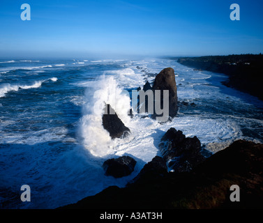 Riesige Pazifik Brecher Absturz gegen Offshore-Rock im Seal Rock State Park in der Nähe von Newport an der Küste von Zentral-Oregon Stockfoto