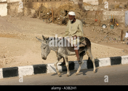 Alte ägyptische Mann auf Esel, Westufer des Nil, Luxor, Ägypten Stockfoto