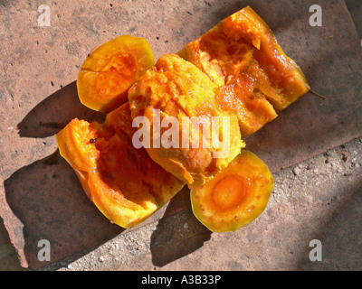 Eine reife Frucht des Feigenkaktus Opuntia Ficus Indica aufschneiden sorgfältig, fleischigen eßbaren Teil zu offenbaren. Spanien EU Stockfoto