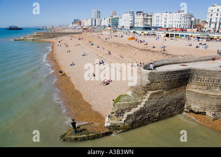 ENGLAND East Sussex Brighton Beach direkt am Meer mit Feuerstein Buhne und Sonnenbaden am Strand des Seebades Südküste Stockfoto