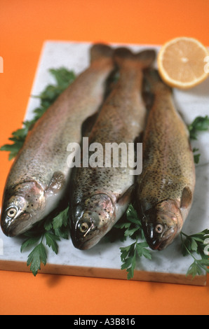 Forellen Stockfoto