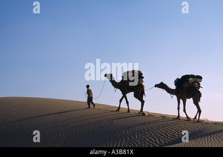 Indien in Südasien Rajasthan Thar-Wüste in der Nähe von Jaisalmer Kamel Herder mit geladenen Kamele auf Sanddüne Grat Silhouette gegen den Himmel Stockfoto