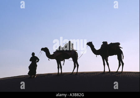 Indien in Südasien Rajasthan Thar-Wüste in der Nähe von Jaisalmer Kamel Herder mit geladenen Kamele auf Sanddüne Grat Silhouette gegen den Himmel Stockfoto