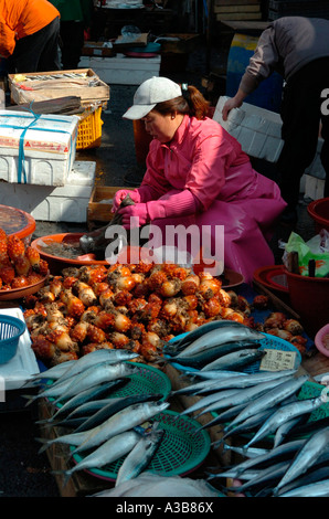 Südkorea Yeongnam Busan Stockfoto