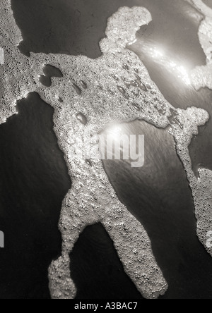 Natur schwarz-weiß Naturkonzept Natur konzeptionell Stockfoto