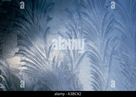 Eisblumen an Fensterscheibe Sitka Alaska Southeast Winter Stockfoto