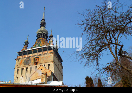 Singisoara Rumänien mittelalterliche Zitadelle Stockfoto