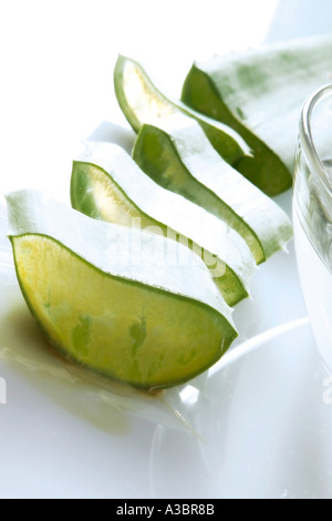 Stücke der Aloe Vera Blätter Stockfoto