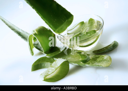 Gel aus Aloe Blatt Stockfoto