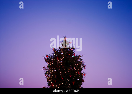 Heiligabend in Albuquerque, New Mexico die Altstadt zu gelangen. Stockfoto