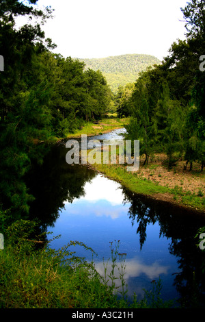 Kangaroo Valley River in New South Wales Australien Stockfoto