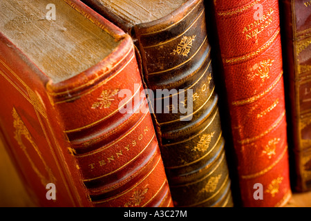 Vier Antik-Leder gebundene Bücher des 19. Jahrhunderts Literatur einschließlich der Poesie von Tennyson und Bryon Stockfoto