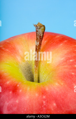 Pink Lady Apfel zeigt Nahaufnahme des Stiels Stockfoto