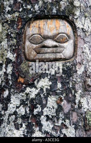 Baum Schnitzen in Alaskas Tongass National Forest Stockfoto