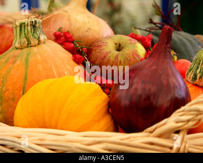 Atemberaubende visuelle Anzeige von Gemüse geerntet für Wettbewerb Herbst Malvern Flower Show Worcestershire UK 05 Stockfoto