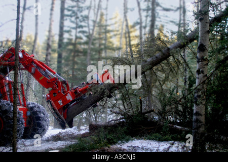 Holzverarbeitende Industrie Stockfoto