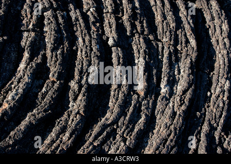 Pahoehoe-Lava flow El Malpais Nationaldenkmal New Mexico USA Vulkan vulkanische Eruptivgestein Stockfoto