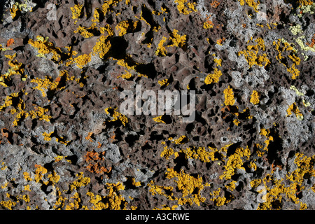 Flechten Sie auf Lava El Malpais Nationaldenkmal New Mexico USA Vulkan vulkanische Eruptivgestein poröse Bimsstein Stockfoto