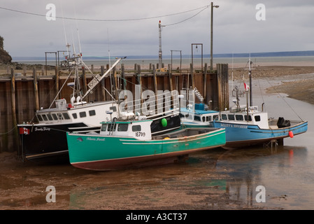 Kanada New Brunswick Fundy National Park Alma kommerziellen Fischerboote bei Ebbe Stockfoto