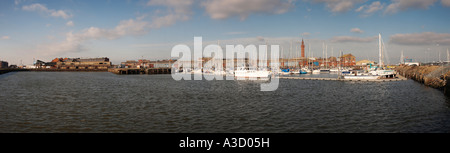 Fisch-Docks und Turm bei Grimsby Lincolnshire England UK Stockfoto