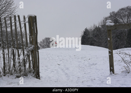 Einen schneebedeckten Pfad zu dem 17. Grün. Stockfoto