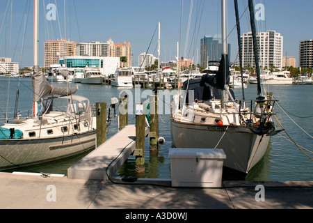 Hafen in Sarasota Florida USA Stockfoto