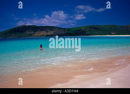 Puerto Rico, Puerto Rican Frau, junge Frau, Schwimmer, Schwimmen, Flamenco Beach, Culebra Island, Puerto Rico, West Indies Stockfoto