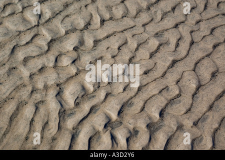 Welligkeit Formen in den Sand und Wasser-Strömung oder Wind verursachten Stockfoto