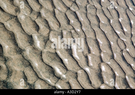 Welligkeit Formen in den Sand und Wasser-Strömung oder Wind verursachten Stockfoto