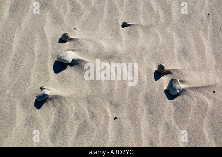 Kieselsteine legen Sie in den Wind geblasen Sand am Strand Stockfoto