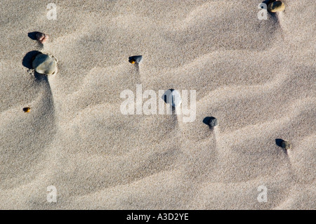 Kieselsteine legen Sie in den Wind geblasen Sand am Strand Stockfoto