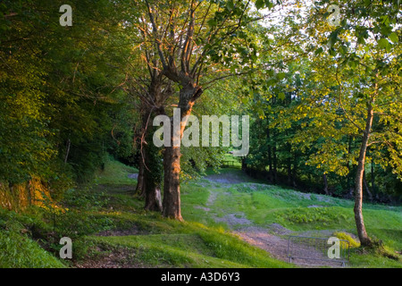 Eine ruhige Ecke Massat Pyrenäen Orientales Frankreich Juni 2005 Stockfoto