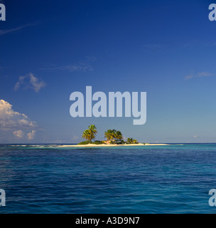 Typischen idyllischen Traum Stil tropische einsame Insel mit Palmen Bäume Sandy Island aus der Karibik Anguilla Stockfoto