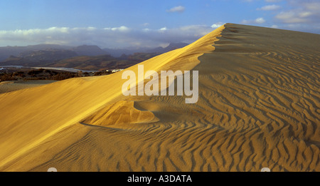 GEWELLT SANDDÜNE im Abendlicht. Maspalomas Gran Canaria Spanien Stockfoto