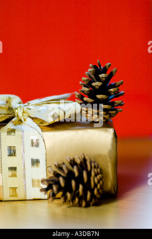 Goldenen Geschenkkarton mit zwei Zapfen auf rotem Grund Stockfoto