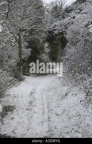 Januar-Schnee kommt zu den South Downs in West Sussex. Stockfoto