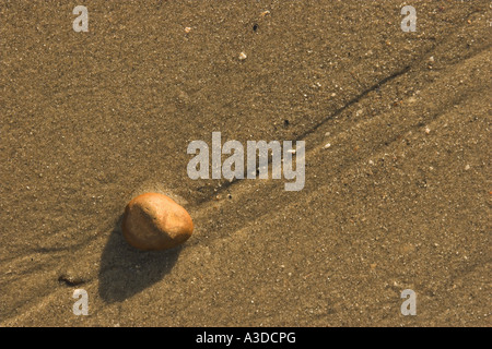 Abstrakt / Konzept - Kiesel am Sandstrand. Stockfoto