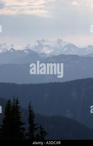 Olympic Nationalpark, Washington, USA. Dies ist die Ansicht in der Nähe von Hurricane Ridge. Stockfoto