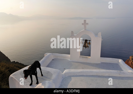 Ein schwarzer Hund vor dem weissen Kirchturm einer kleinen Kapelle, Oia, Santorini, Griechenland Stockfoto